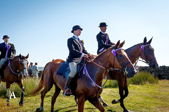 Langholm Common Riding 2014 (127 of 174)