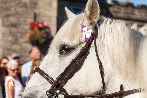 Langholm Common Riding 2014 (56 of 174)